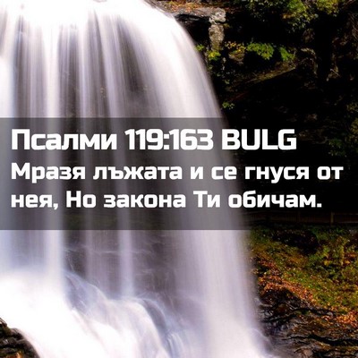 Picture 02 - Псалми 119:163 BULG - Мразя лъжата и се гнуся от - Bible Verse Picture