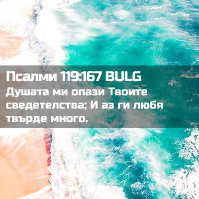Picture 02 - Псалми 119:167 BULG - Душата ми опази Твоите - Bible Verse Picture