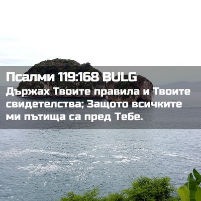 Picture 02 - Псалми 119:168 BULG - Държах Твоите правила и - Bible Verse Picture