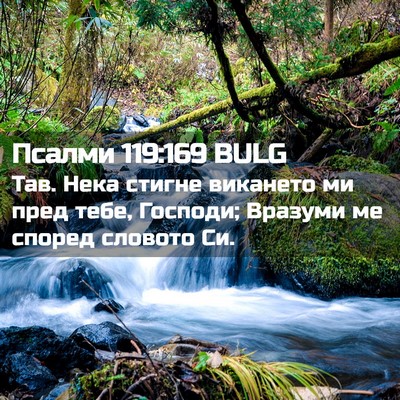 Picture 02 - Псалми 119:169 BULG - Тав. Нека стигне викането - Bible Verse Picture