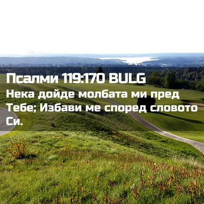 Picture 02 - Псалми 119:170 BULG - Нека дойде молбата ми пред - Bible Verse Picture