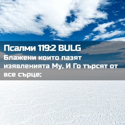 Picture 02 - Псалми 119:2 BULG - Блажени които пазят - Bible Verse Picture