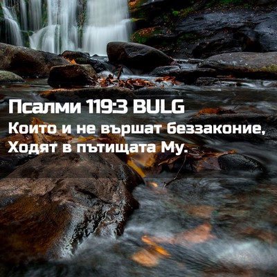 Picture 02 - Псалми 119:3 BULG - Които и не вършат - Bible Verse Picture