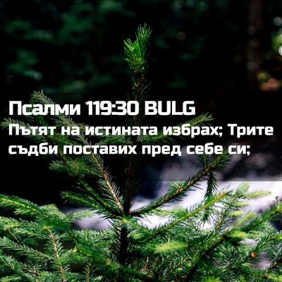 Picture 02 - Псалми 119:30 BULG - Пътят на истината избрах; - Bible Verse Picture
