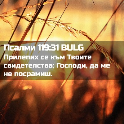 Picture 02 - Псалми 119:31 BULG - Прилепих се към Твоите - Bible Verse Picture