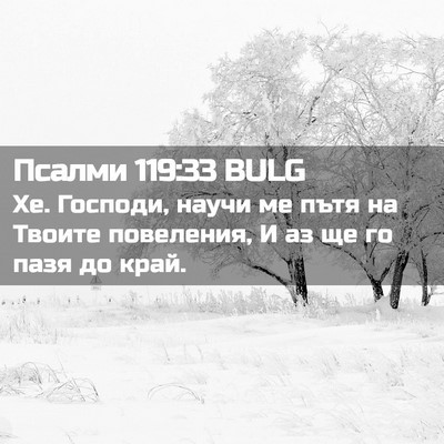 Picture 02 - Псалми 119:33 BULG - Хе. Господи, научи ме пътя - Bible Verse Picture