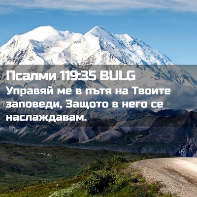 Picture 02 - Псалми 119:35 BULG - Управяй ме в пътя на Твоите - Bible Verse Picture