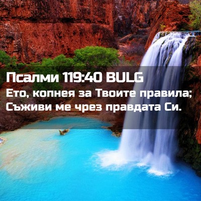 Picture 02 - Псалми 119:40 BULG - Ето, копнея за Твоите - Bible Verse Picture
