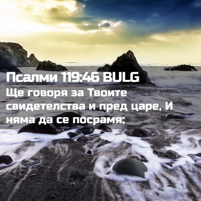 Picture 02 - Псалми 119:46 BULG - Ще говоря за Твоите - Bible Verse Picture
