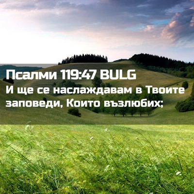 Picture 02 - Псалми 119:47 BULG - И ще се наслаждавам в - Bible Verse Picture