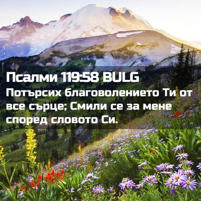 Picture 02 - Псалми 119:58 BULG - Потърсих благоволението - Bible Verse Picture