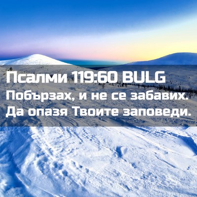 Picture 02 - Псалми 119:60 BULG - Побързах, и не се забавих. - Bible Verse Picture