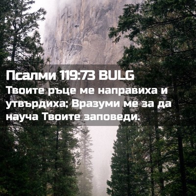 Picture 02 - Псалми 119:73 BULG - Твоите ръце ме направиха и - Bible Verse Picture