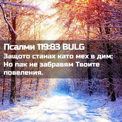 Picture 02 - Псалми 119:83 BULG - Защото станах като мех в - Bible Verse Picture