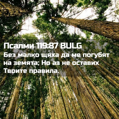 Picture 02 - Псалми 119:87 BULG - Без малко щяха да ме - Bible Verse Picture