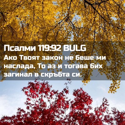 Picture 02 - Псалми 119:92 BULG - Ако Твоят закон не беше ми - Bible Verse Picture