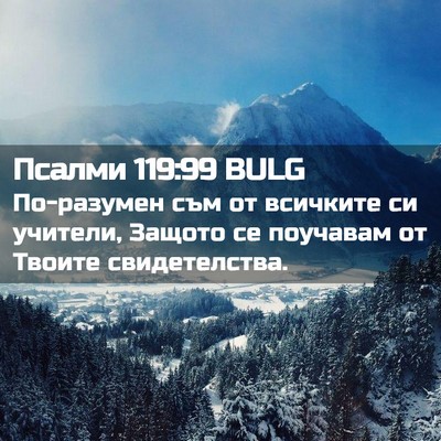 Picture 02 - Псалми 119:99 BULG - По-разумен съм от всичките - Bible Verse Picture