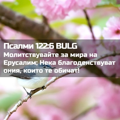 Picture 02 - Псалми 122:6 BULG - Молитствувайте за мира на - Bible Verse Picture