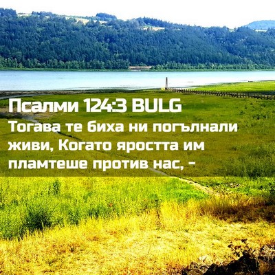 Picture 02 - Псалми 124:3 BULG - Тогава те биха ни - Bible Verse Picture