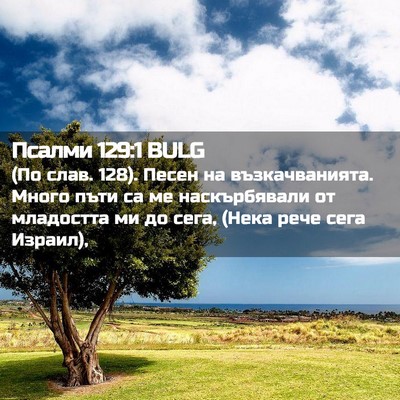 Picture 02 - Псалми 129:1 BULG - (По слав. 128). Песен на - Bible Verse Picture