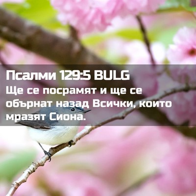 Picture 02 - Псалми 129:5 BULG - Ще се посрамят и ще се - Bible Verse Picture