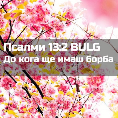 Picture 02 - Псалми 13:2 BULG - До кога ще имаш - Bible Verse Picture