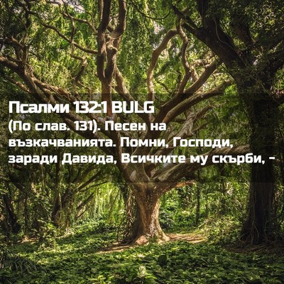 Picture 02 - Псалми 132:1 BULG - (По слав. 131). Песен на - Bible Verse Picture