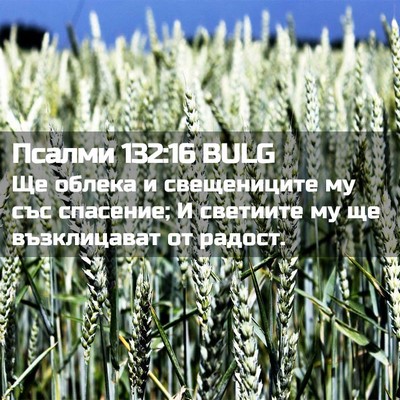 Picture 02 - Псалми 132:16 BULG - Ще облека и свещениците му - Bible Verse Picture