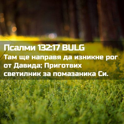 Picture 02 - Псалми 132:17 BULG - Там ще направя да изникне - Bible Verse Picture