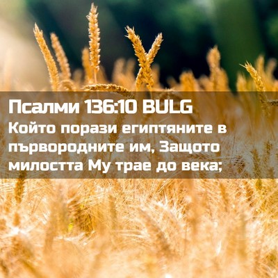Picture 02 - Псалми 136:10 BULG - Който порази египтяните в - Bible Verse Picture
