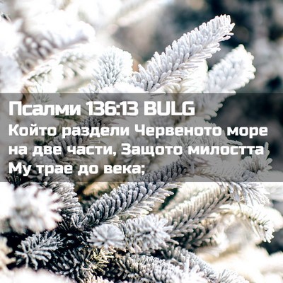 Picture 02 - Псалми 136:13 BULG - Който раздели Червеното - Bible Verse Picture
