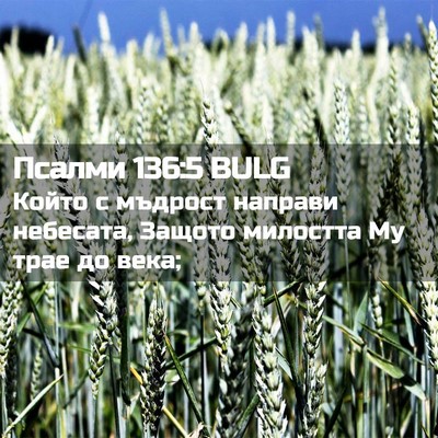 Picture 02 - Псалми 136:5 BULG - Който с мъдрост направи - Bible Verse Picture