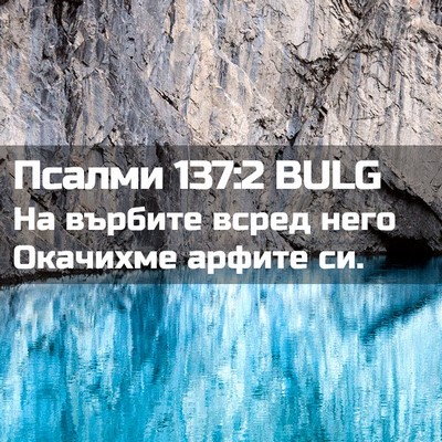 Picture 02 - Псалми 137:2 BULG - На върбите всред него - Bible Verse Picture