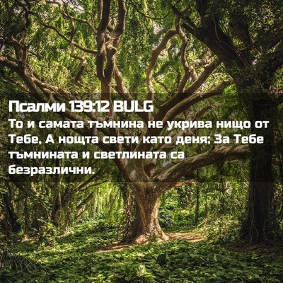 Picture 02 - Псалми 139:12 BULG - То и самата тъмнина не - Bible Verse Picture