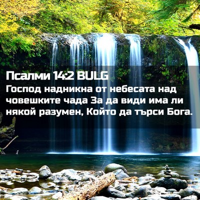 Picture 02 - Псалми 14:2 BULG - Господ надникна от - Bible Verse Picture