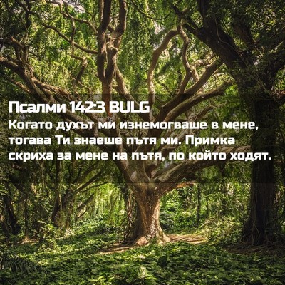 Picture 02 - Псалми 142:3 BULG - Когато духът ми - Bible Verse Picture