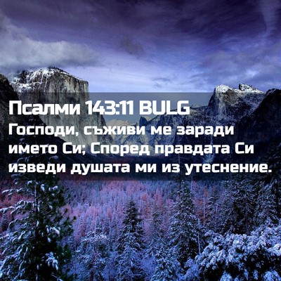 Picture 02 - Псалми 143:11 BULG - Господи, съживи ме заради - Bible Verse Picture