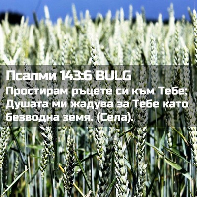 Picture 02 - Псалми 143:6 BULG - Простирам ръцете си към - Bible Verse Picture