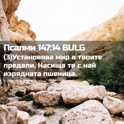 Picture 02 - Псалми 147:14 BULG - (3)Установява мир в твоите - Bible Verse Picture