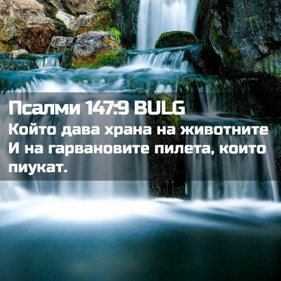 Picture 02 - Псалми 147:9 BULG - Който дава храна на - Bible Verse Picture