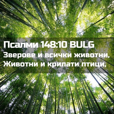 Picture 02 - Псалми 148:10 BULG - Зверове и всички животни, - Bible Verse Picture