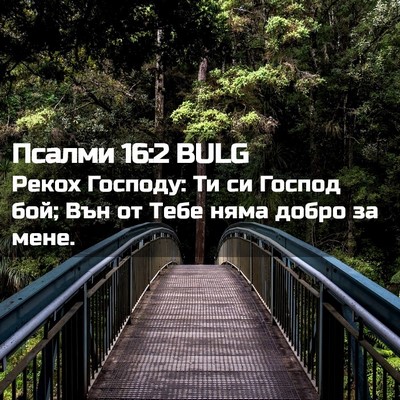 Picture 02 - Псалми 16:2 BULG - Рекох Господу: Ти си Господ - Bible Verse Picture