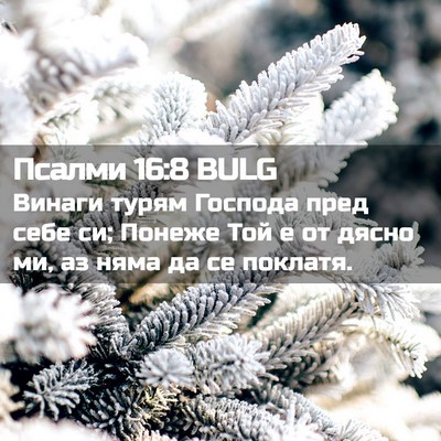 Picture 02 - Псалми 16:8 BULG - Винаги турям Господа пред - Bible Verse Picture