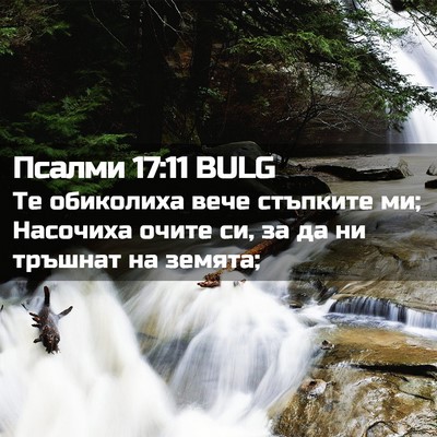 Picture 02 - Псалми 17:11 BULG - Те обиколиха вече стъпките - Bible Verse Picture