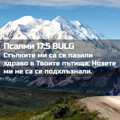 Picture 02 - Псалми 17:5 BULG - Стъпките ми са се пазили - Bible Verse Picture