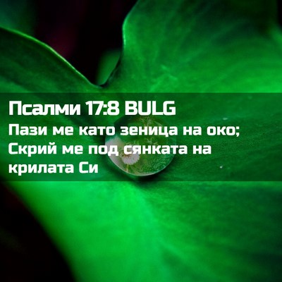 Picture 02 - Псалми 17:8 BULG - Пази ме като зеница на око; - Bible Verse Picture