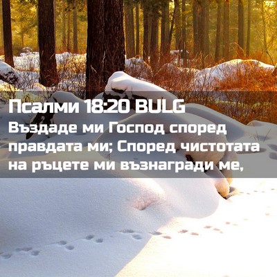 Picture 02 - Псалми 18:20 BULG - Въздаде ми Господ според - Bible Verse Picture