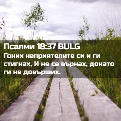 Picture 02 - Псалми 18:37 BULG - Гоних неприятелите си и ги - Bible Verse Picture