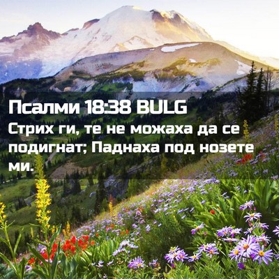 Picture 02 - Псалми 18:38 BULG - Стрих ги, те не можаха да се - Bible Verse Picture
