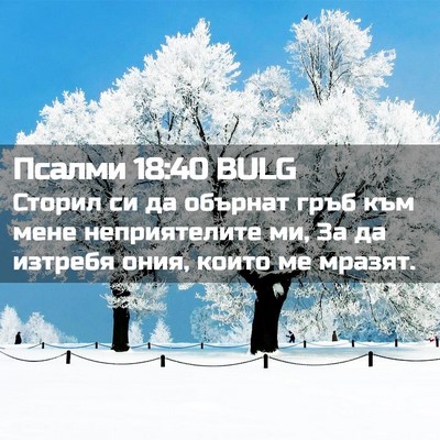Picture 02 - Псалми 18:40 BULG - Сторил си да обърнат гръб - Bible Verse Picture